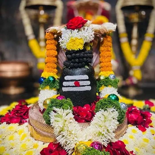 Rudrabhishek Puja